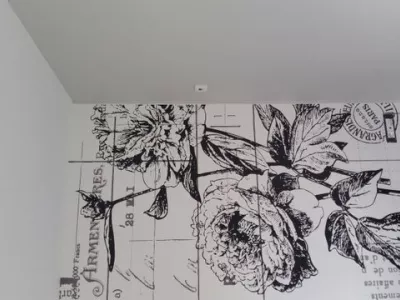 panoramique